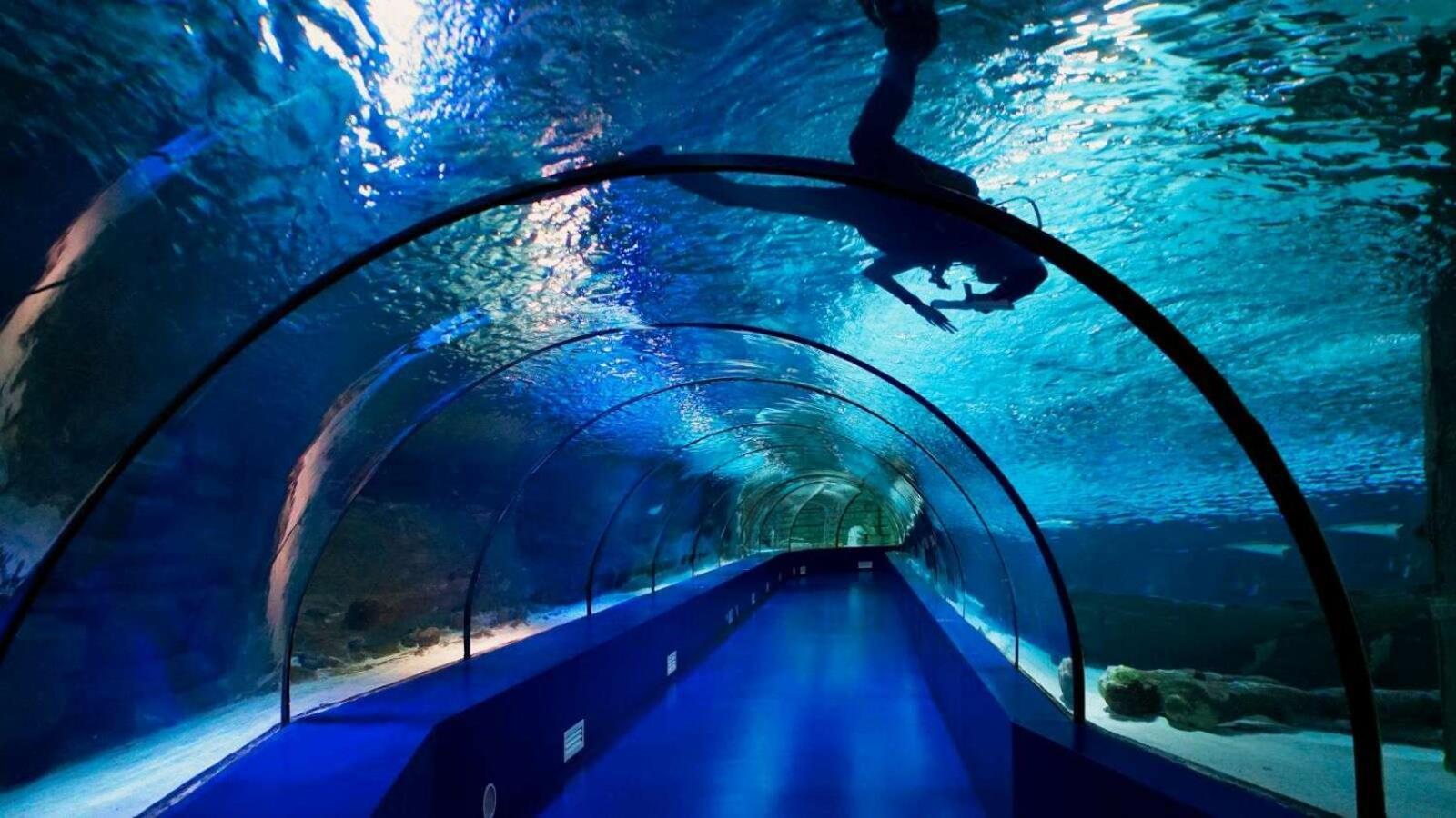 Far Life Hotel Antalya Extérieur photo